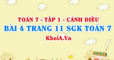 Bài 4 trang 11 SGK Toán 7 tập 1 Cánh Diều